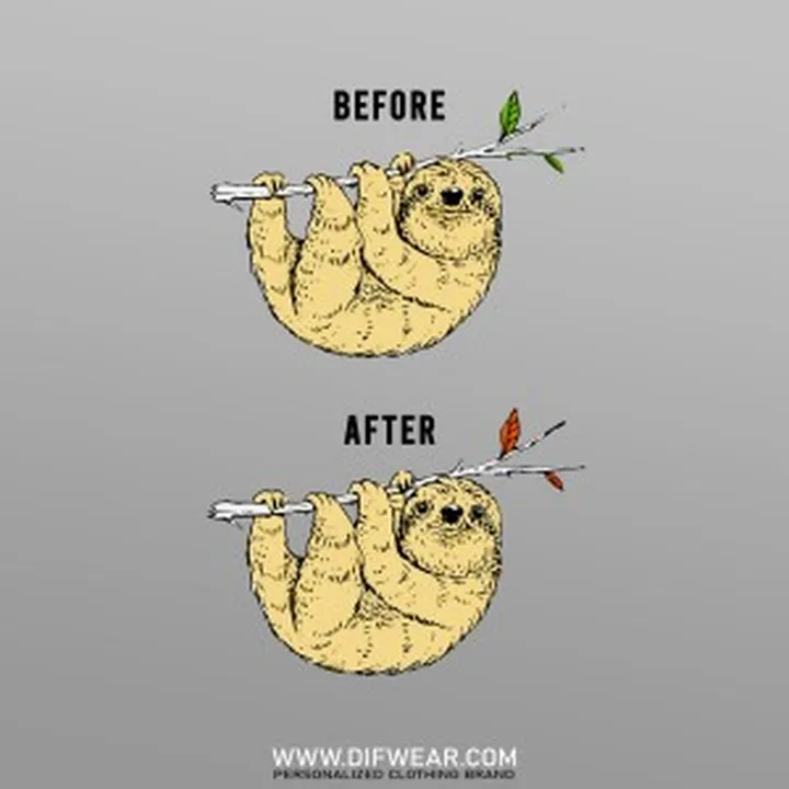 تیشرت Before vs. After #1