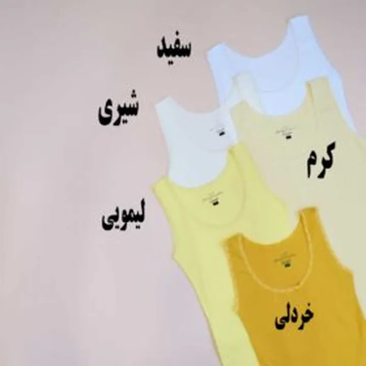 تاپ دور گیپوری