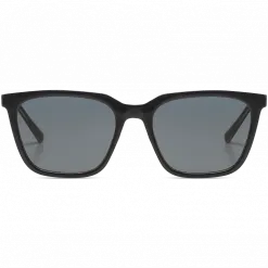 Jay Black Tortoise