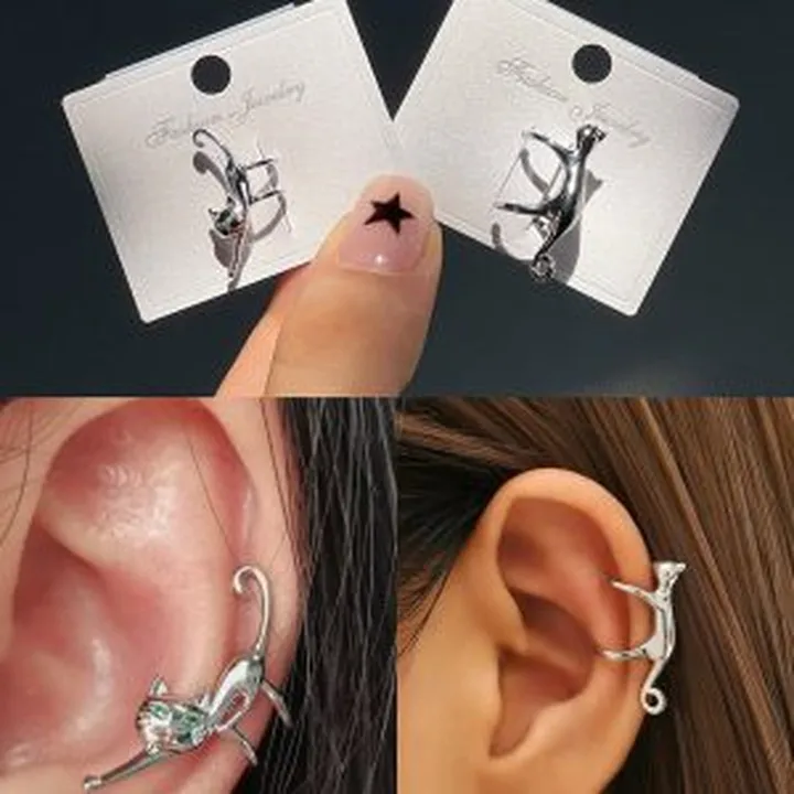 ایرکاف فیک گربه