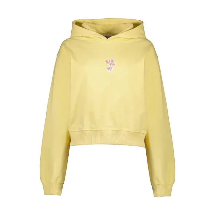 هودی پرنده زرد