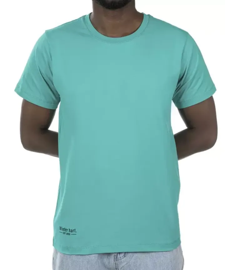 تیشرت مردانه وینترهارت WinterHart کد M2014003TS    XXL