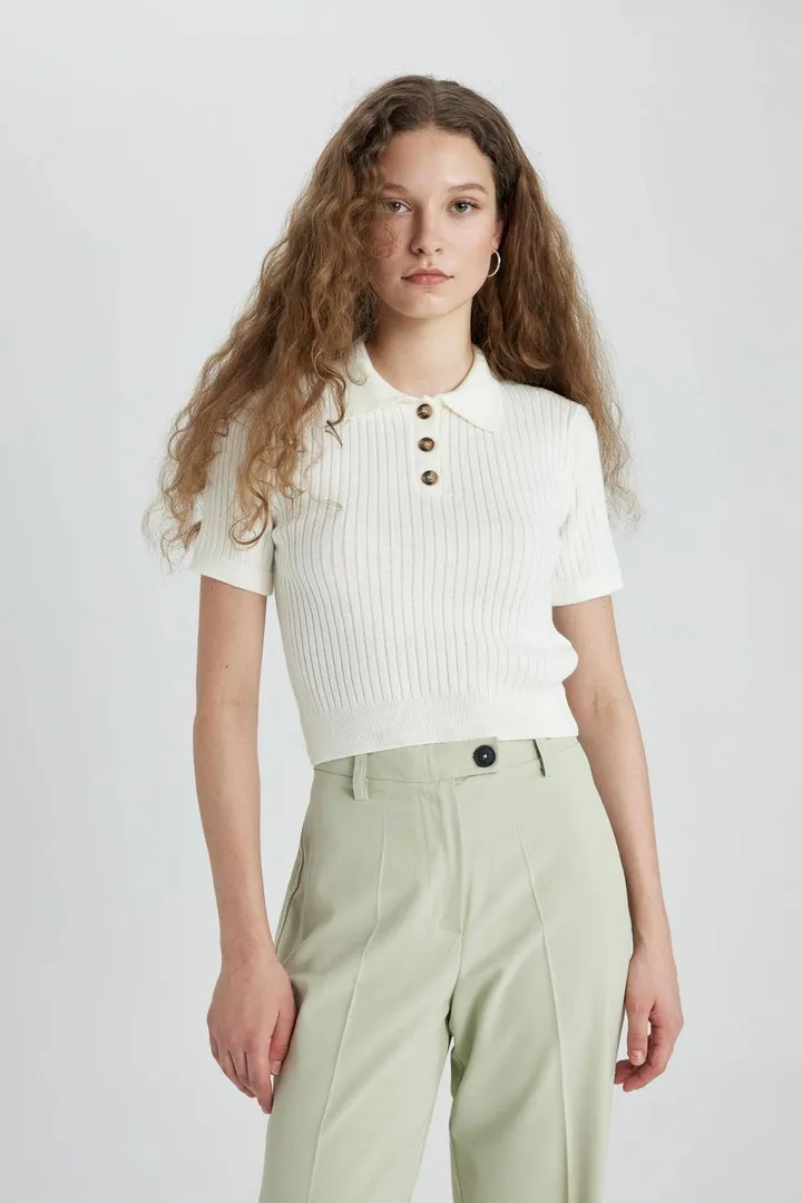 Defactoژاکت بافتنی یقه کوتاه اسلیم فیت پولو N9752az24sp