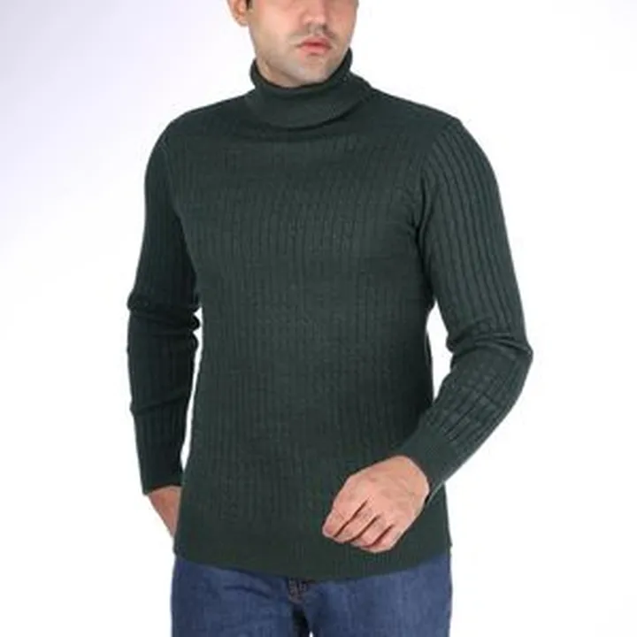 پلیور یقه اسکی مردانه تریکو پاییزان مدل PE800 رنگ یشمی