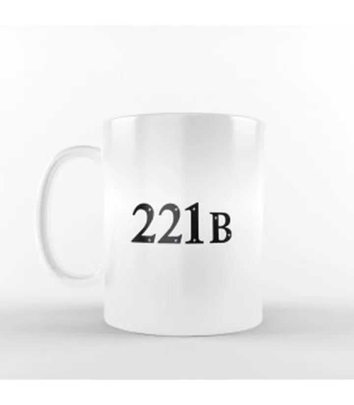 ماگ 221B