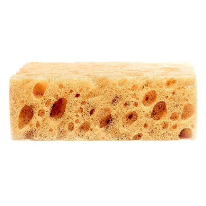 COLLONIL12SPONGE