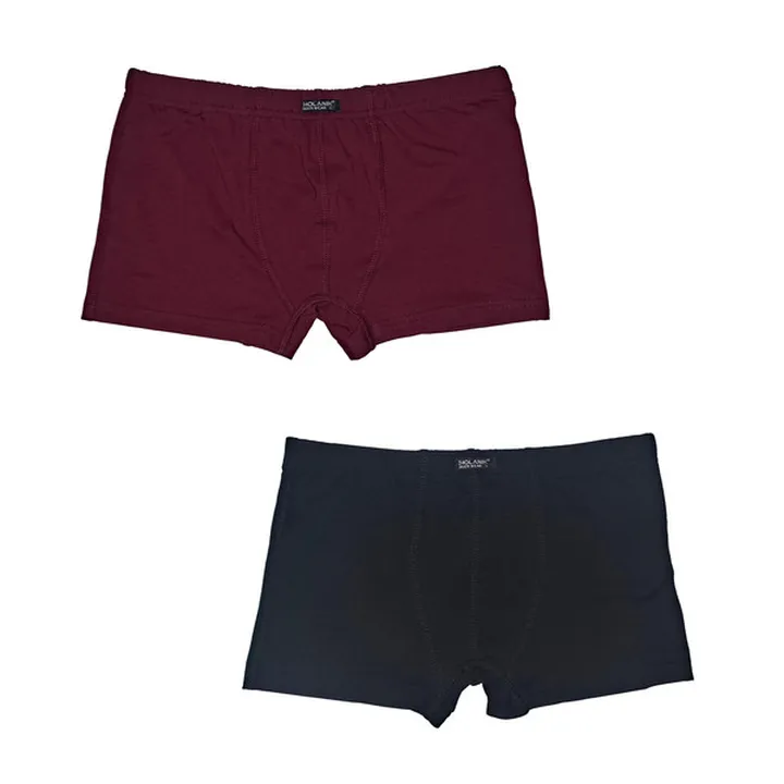 شورت مردانه ژولانیک مدل نیم پا کد ALBROZ بسته دو ع...