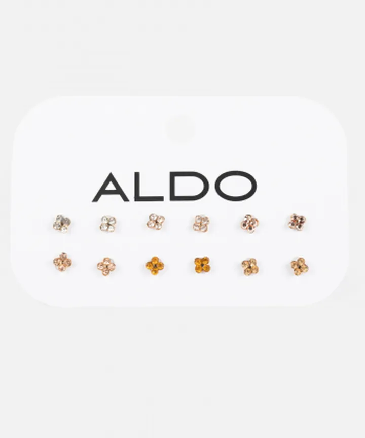 گوشواره آلدو Aldo مدل Afililiaبسته 6 عددی