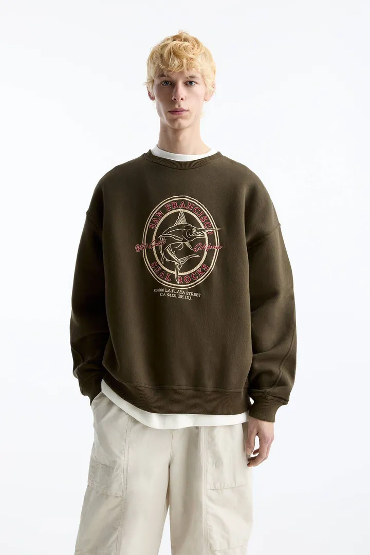 <span class="text-styled__StyledSpan-sc-d280c10c-1 dvOaRP">Pull & Bear< span>سویشرت San Francisco Seal Rocks