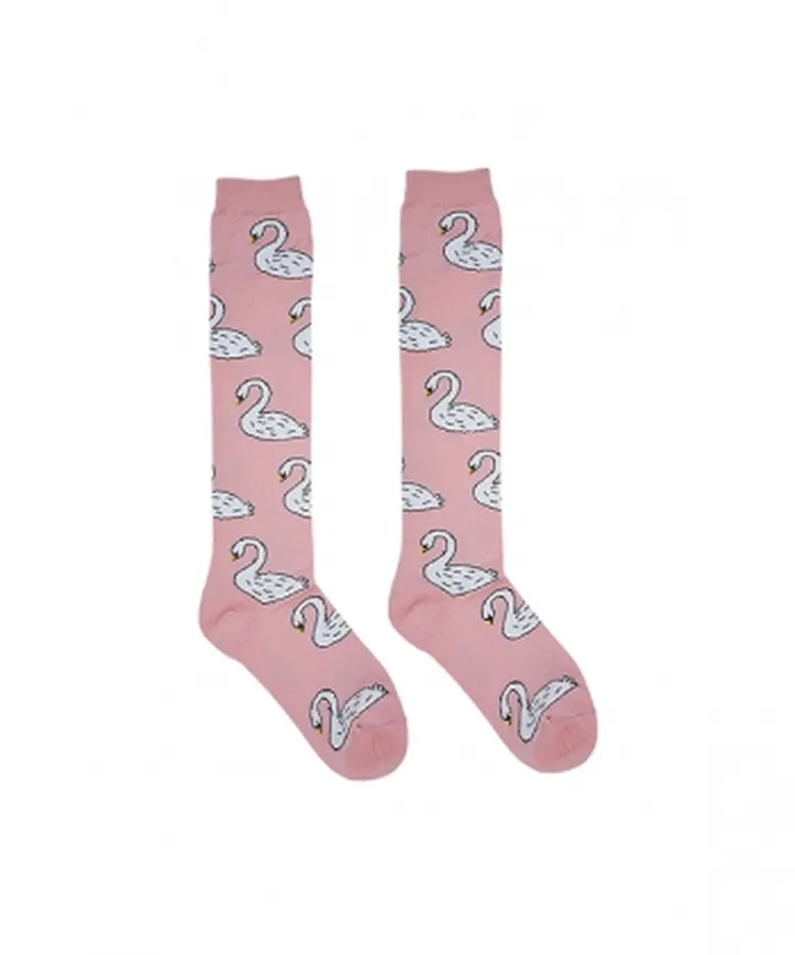 جوراب زنانه ساق بلند داینوساکس Dino Socks