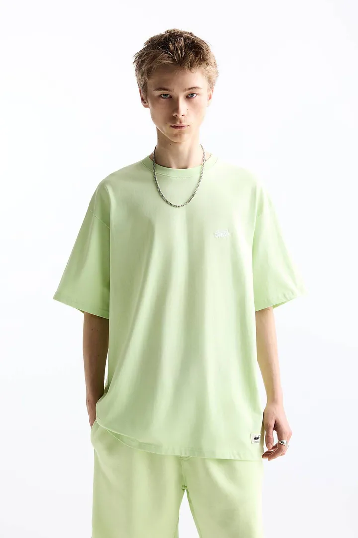 <span class="text-styled__StyledSpan-sc-d280c10c-1 dvOaRP">Pull & Bear< span>تیشرت با آرم STWD