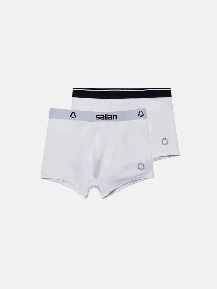 بسته 2 عددی شورت پادار آلویس-4