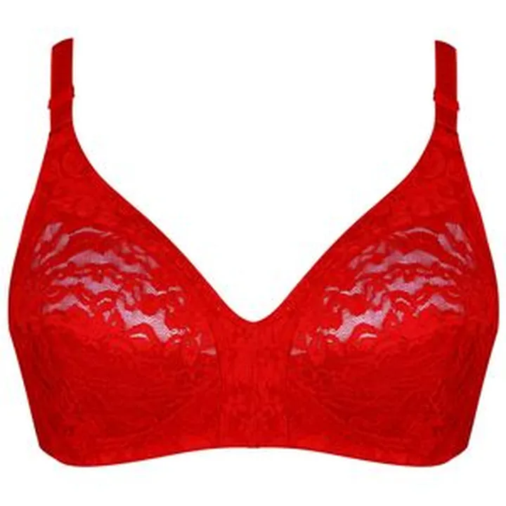 سوتین زنانه پانیذ کد 3169-2