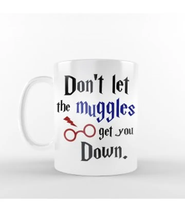 ماگ Don't let muggles get you down