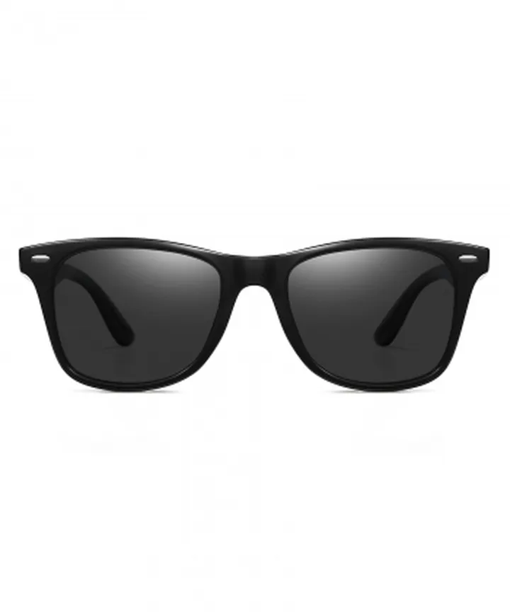 عینک آفتابی دیدبان Did Ban مدل WAYFARER POLARIZED