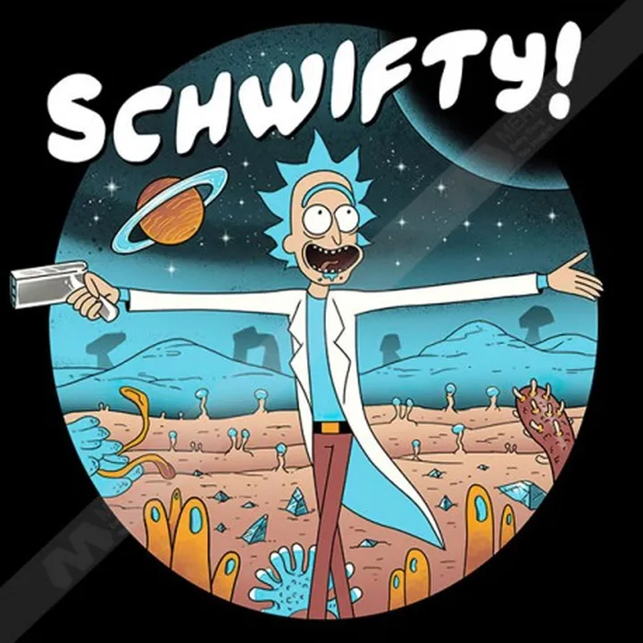 تیشرت سریال ریک و مورتی shwifty rick