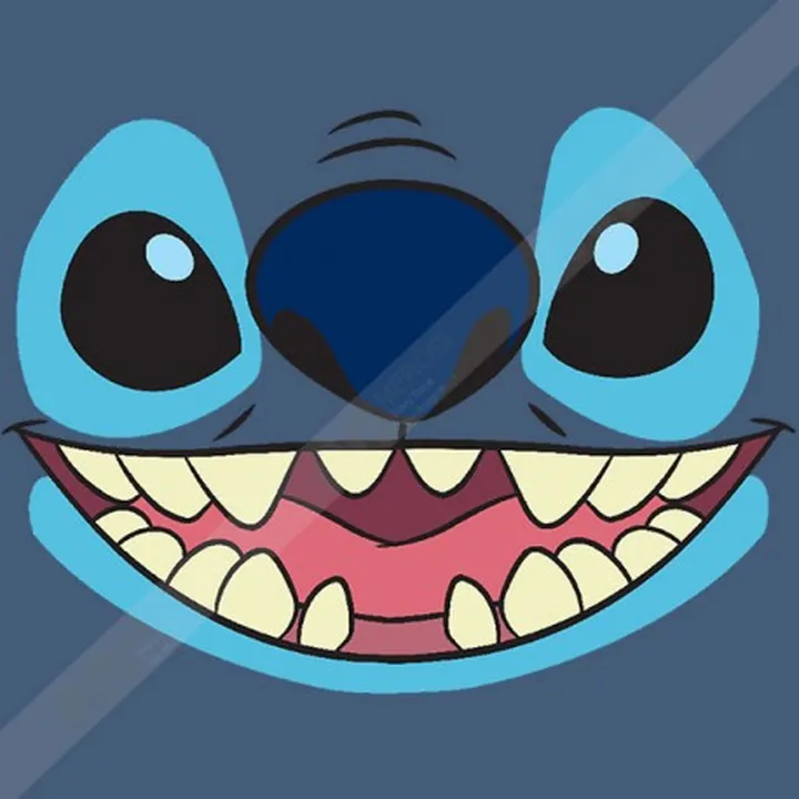 تیشرت Stitch Big Face