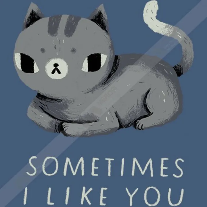 تیشرت sometimes i like you cat