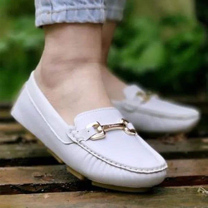 کالج سفید ۳۳۳۰۰۴۶۱